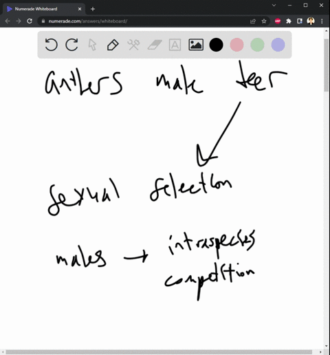 mating-behavior-and-mate-choice-play-major-roles-in-determining-reproductive-success-provide-an-example-of-an-adaptation-in-any-organism-that-is-specific-to-mating-discuss-the-costsbenefits-85125