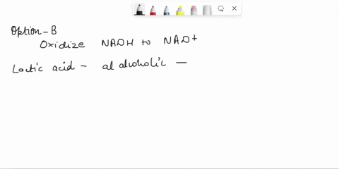 question-30-one-function-of-both-alcohol-_-reduce-fad-to-fadhz-fermentation-and-lactic-acid-fermentation-is-0-oxidize-nadh-to-nad-reduce-nad-to-nadh-reduce-fadhz-to-fad-0-e-none-of-these-ans-66907