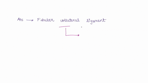 what-is-the-highlighted-structure-below-fibular-lateral-collateral-ligament-posterior-cruciate-ligament-tibial-medial-collateral-ligament-38501