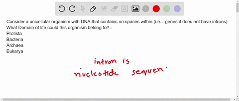 consider-a-unicellular-organism-with-dna-that-contains-no-spaces-within-ie-genes-it-does-not-have-introns-what-domain-of-life-could-this-organism-belong-to-select-all-that-apply-protista-bac-96772