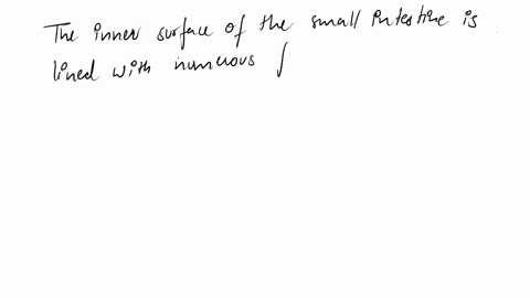 the-inner-surface-of-the-small-intestine-contains-thousands-of-finger-like-projections-are-called-32488