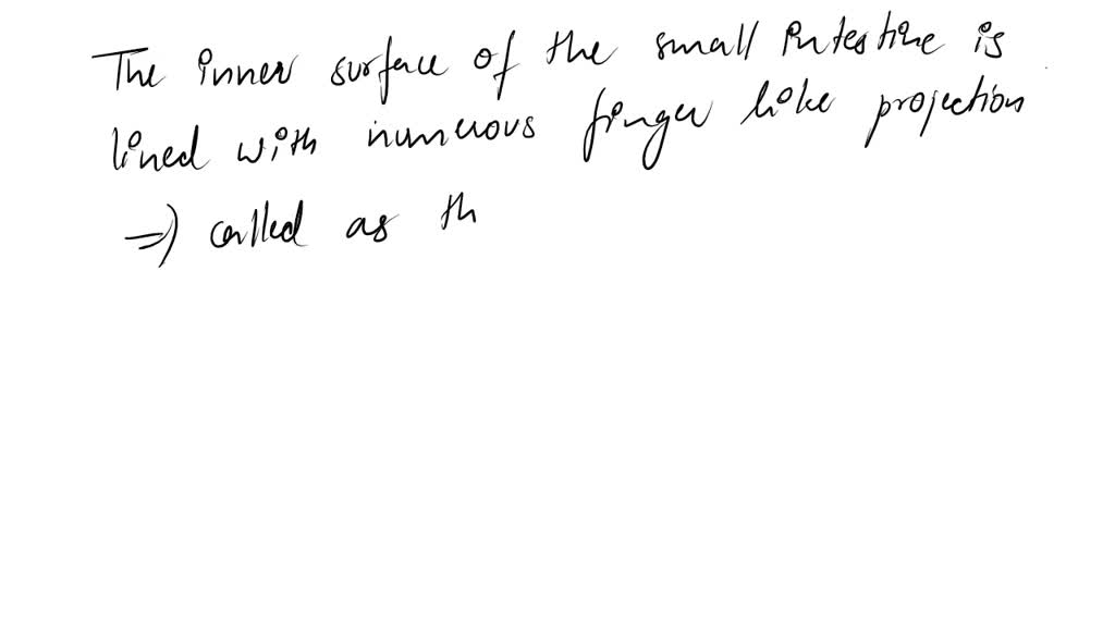 SOLVED: the inner surface of the small intestine contains thousands of ...