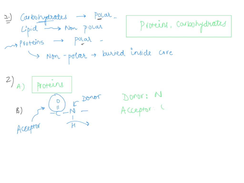SOLVED Which biomolecules are likely to form ionic interactions with