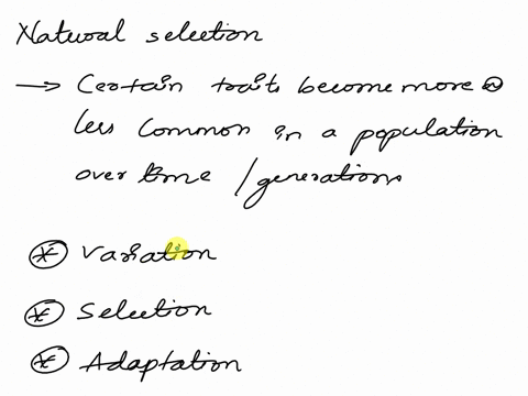 what-are-the-3-steps-of-natural-selection-42908