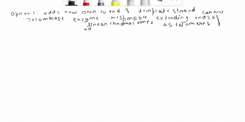 which-of-these-statements-is-correct-for-this-statement-which-of-the-following-best-describes-the-function-of-telomerase-option-1-it-adds-new-dna-to-the-3-end-of-the-template-strand-option-2-27751