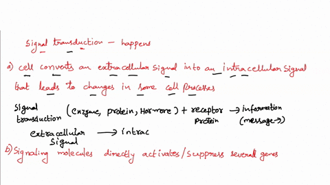during-signal-transduction-a-the-cell-converts-an-extracellular-signal-into-an-intracellular-signa-2-26852