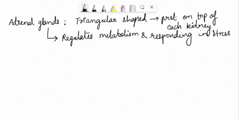 endocrine-system-questions-factor-that-inhiblts-the-secrete-somatostatin-growth-hormone-inhlbiting-1fcells-secretion-of-insulin-and-glucagons-pp-cell-that-secrete-_-pancreatic-digestive-enzy-89618