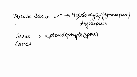 urganism-2-fieldnotes-specimen-collected-from-hunting-island-state-park-in-southem-south-carolina-beetles-seem-attracted-0-reproductive-structures-laboratory-analysis-body-consists-of-stout-34147