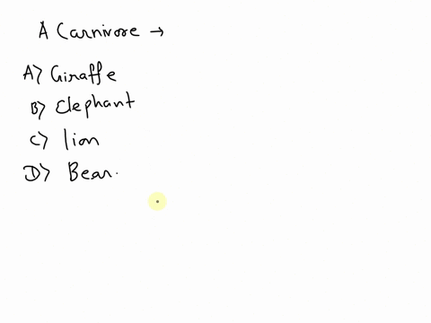 which-organism-is-a-carnivore-a-giraffe-b-elephant-c-lion-d-bear-80037