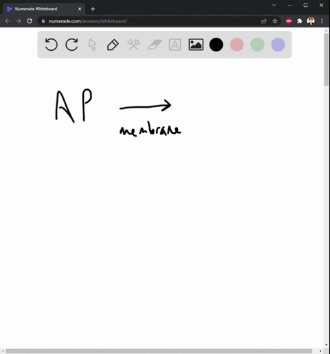 1a-nerve-cell-has-an-axon-that-extends-3-cm-with-an-inter-node-spacing-of-2-mm-calculate-the-membrane-potential-at-a-node-just-prior-to-the-generation-of-an-action-potential-given-the-follow-30386