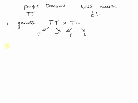 genetics-problems-solve-each-of-following-genetics-problems-showing-all-work-assume-complete-dominance-unless-otherwisc-stated-in-pea-plants-flowers-can-be-purple-or-white-due-autosomal-gene-77178
