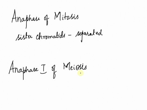 which-of-the-following-statements-best-describes-the-major-difference-between-anaphase-of-mitosis-and-anaphase-i-of-meiosis-in-anaphase-i-homologous-pairs-are-separated-but-sister-chromatids-12825