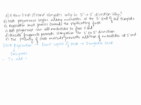a-new-dna-strand-elongates-only-in-the-5-to-3-direction-because-a-dna-polymerase-begins-adding-nucleotides-at-the-5-end-of-the-template-b-replication-must-progress-toward-the-replication-for-65936