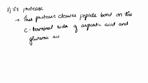 how-many-cuts-v8-protease-trypsin-and-chymotypsin-give-polypeptides-05857
