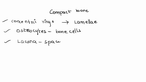 compact-bone-consists-of-concentric-rings-or-lamellaecanaliculiwith-bone-cells-called-chondrocytes-osteocytes-located-in-tiny-spaces-called-divotslacunacavatiesnutrients-in-blood-and-nerves-64401