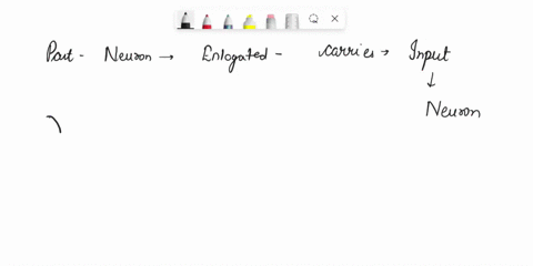 Knowledge Check Question 2 is mainly made up of neuronal...