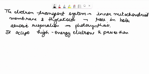 what-role-does-the-electron-transport-system-play-what-does-it-do-why-is-it-part-of-both-processes-22907