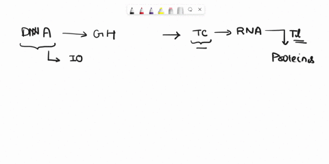 explain-how-it-could-be-possible-to-change-an-amino-acid-within-a-protein-but-not-affect-that-protei-84164