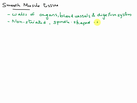 difference-between-smooth-muscle-tissue-and-cardiac-muscle-tissue-67829