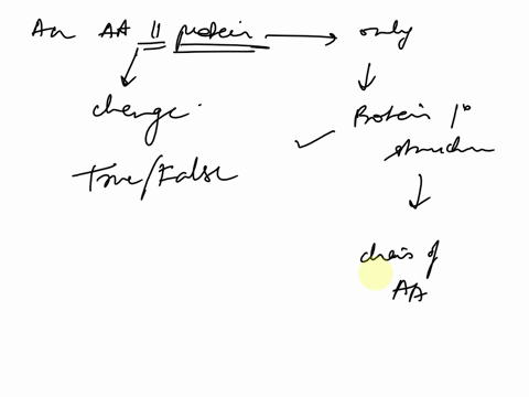 false-true-changing-question-an-amino-11-acid-protein-likely-only-ever-impacts-the-proteins-primary-structure-82257