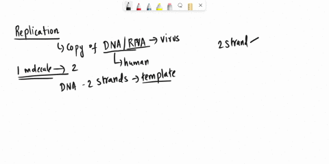 true-or-false-both-replication-and-transcription-are-anabolic-processes-true-false-45065