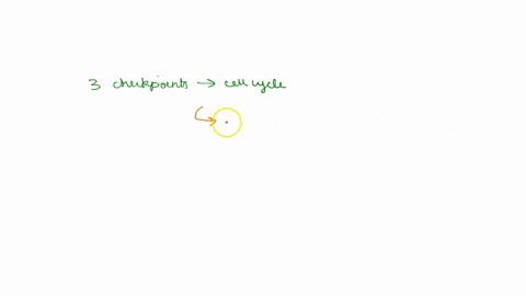 1-what-are-the-three-checkpoints-of-the-cell-cycle-and-what-is-the-basic-function-of-each-2-what-is-the-function-of-cell-division-25775