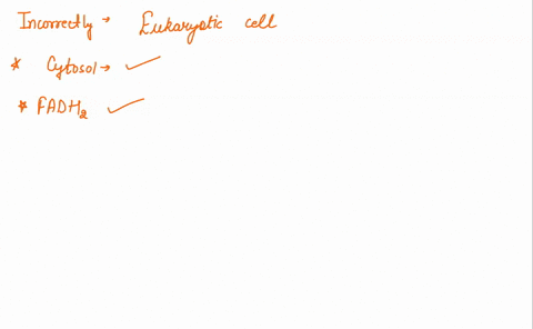 which-of-the-following-processes-is-incorrectly-matched-with-its-location-in-a-eukaryotic-cell-the-production-of-ethanol-by-fermentation_the-cytosol-of-the-cell-production-of-fadhz-the-matri-73488