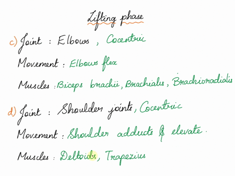 upright-row-exercise-worksheet-list-the-movements-that-occur-in-each-joint-as-the-subject-lifts-the-weight-in-performing-upright-rows-and-then-lowers-the-weightfor-each-joint-movement-list-t-11152