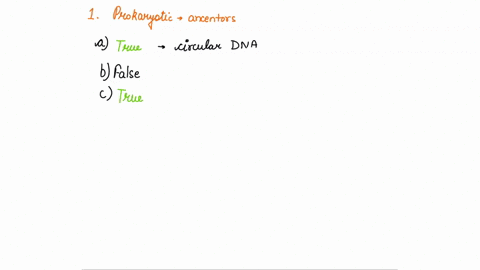 question-1-8-pts-select-allof-the-true-statements-concerning-the-prokaryotic-ancestors-of-mitochondria-and-chloroplasts-chloroplasts-arose-from-prokaryotes-with-circular-dna-mitochondria-aro-34932