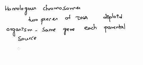 j-in-genetie-terins-consider-the-chrumosomcs-and-total-gcuetic-information-fla-um-twdoc-somic-0in-rcproductite-cell-nondy-ccll-14-suppose-glinoecccll-anmc-mean-frdiu-duectly-froni-cad-ucceas-58458