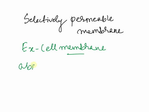 what-is-a-selectively-permeable-membrane-61055