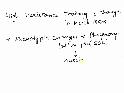hi-skeletal-muscle-mass-is-determined-by-the-balance-between-skeletal-muscle-protein-synthesis-and-degradation-while-skeletal-muscle-development-and-repair-is-determined-by-the-activation-of-80279