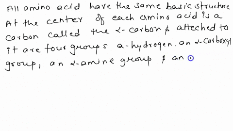 two-proteins-with-the-same-amino-acid-composition-do-not-have-the-same-primary-structure-explain-why-11323
