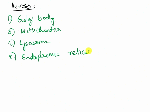 across-flattened-membranous-sacs-that-package-secretion-two-words-organelle-in-which-atp-is-produced-for-cellular-energy-vesicles-containing-degradative-enzymes-neutralizes-drugs-and-alcohol-08044