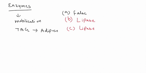 a-which-one-of-the-following-enzymes-isare-involved-in-the-mobilization-of-fatty-acids-from-triacylglycerol-stores-in-adipose-tissue-a-carnitine-acyl-transferase-b-gastric-lipase-c-hormone-s-22087