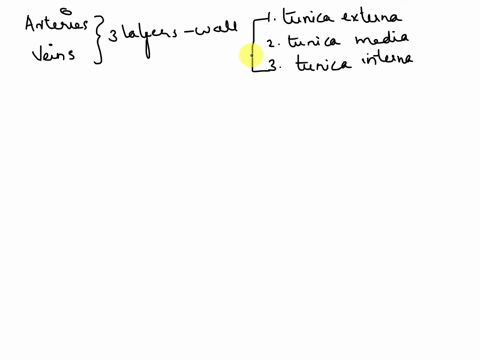 explain-why-empty-veins-collapse-while-empty-arteries-do-not-14823