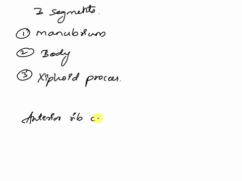 the-sternum-________a-consists-of-only-two-parts-the-manubrium-and-xiphoid-processb-has-the-sternal-angle-located-between-the-manubrium-and-bodyc-receives-direct-attachments-from-the-costal-09289