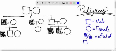 question-23-of-37-a-pedigree-uses-specifie-symbols-t0-indicate-genetic-information-about-related-individuals_-consider-the-figure-which-depicts-a-pedigree-with-three-generations-of-a-family-25955
