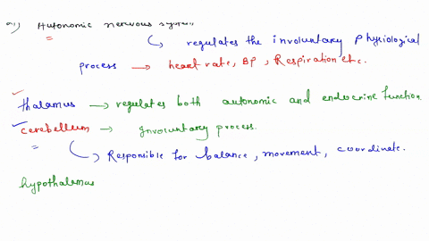 rd-fv-ja-20-which-has-its-cell-body-in-a-ganglion-a-preganglionic-neuron-b-postganglionic-neuron-c-somatic-motor-neuron-d-preganglionic-neuron-and-e-preganglionic-postganglionic-neuron-neuro-02042