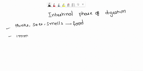the-intestinal-phase-of-digestion-1-begins-when-someone-thinks-about-sees-smells-initially-tastes-food-2-is-an-immediate-response-to-stomach-distension-3occurs-quickly-after-ingested-food-ra-76265