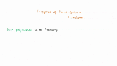 is-to-transcription-as-are-to-translation-rna-polymerase-ribosomes-rna-primase-ribosomes-dna-polymerase-rna-polymerase-dna-polymerase-ribosomes-09913