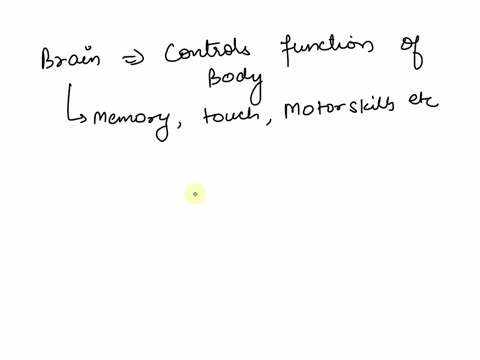 which-structure-is-highlighted-multiple-choice-cerebrum-cerebellum-longitudinal-fissure-cerebral-cortex-brainstem-48784