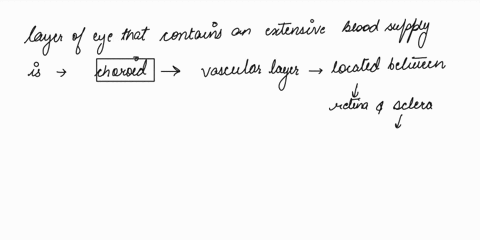 which-layer-of-the-eye-contains-an-extensive-blood-supply-69737