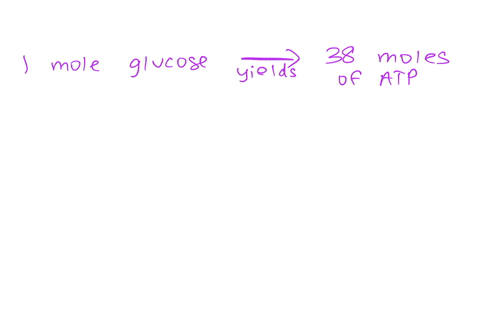 complete-catabolism-of-one-glucose-molecule-yields-38-atp-molecules-how-many-moles-of-atp-are-produced-by-the-complete-catabolism-of-10-moles-of-glucose-45668