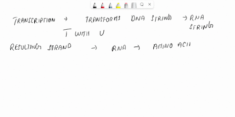 translate-the-rna-sequence-acu-guu-aag-gca-uga-into-the-corresponding-amino-acid-sequence-59088