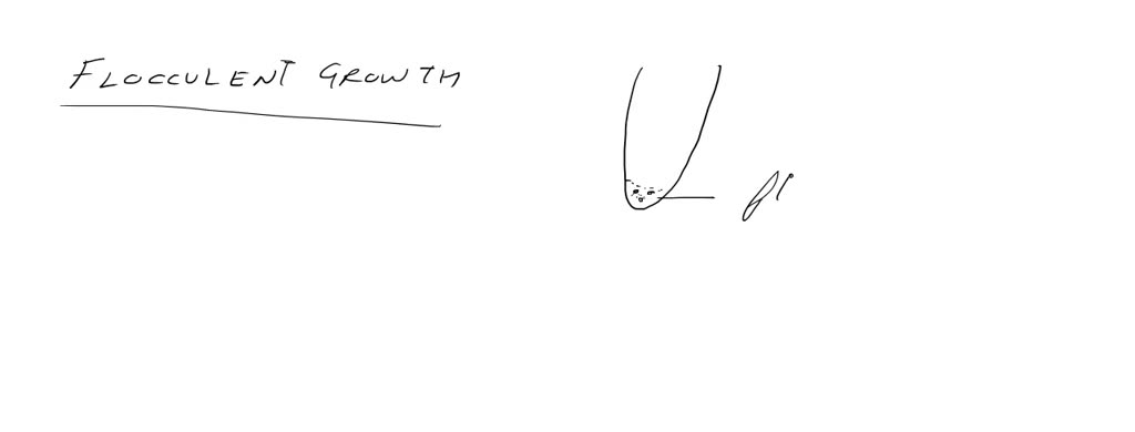 SOLVED: Flocculent growth in broth is best described as: small visible ...