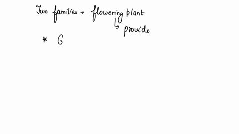 which-two-families-of-flowering-plants-provide-protein-for-the-majority-of-humans-73674