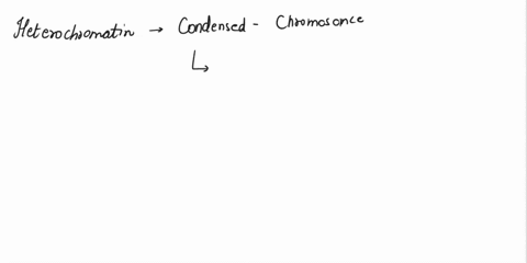 question1-which-of-the-following-statements-about-heterochromatin-is-false-o-it-is-difficult-to-sequence-completely-because-of-its-repeat-content-oit-is-deleted-from-somatic-cell-genomes-dur-95258