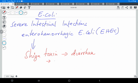 enterohemorrhagic-ecoli-or-ehec-can-cause-all-the-following-except-oa-hemolytic-uremic-syndrome-b-dysentery-gastroenteritis-with-fever-d-hepatocarcinoma-98387