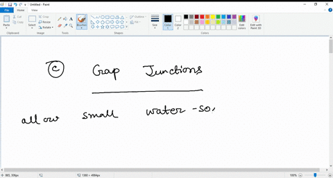 forms-channels-that-allow-small-water-soluble-molecules-including-ions-to-pass-from-cell-to-cell-a-hemidesmosomes-b-adheren-junctions-c-desmosomes-d-tight-junctions-e-gap-junctions-50402